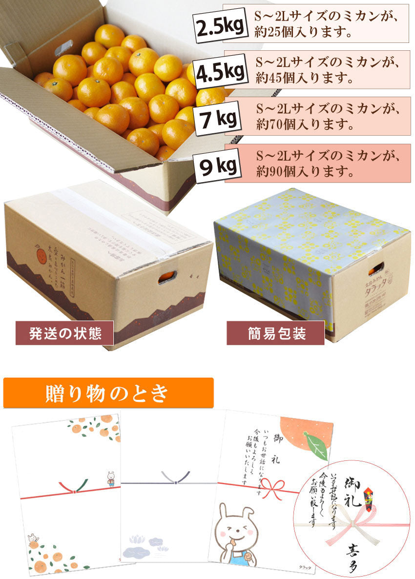12月の濃厚で甘いみかん★完熟！冬の太良ミカン★