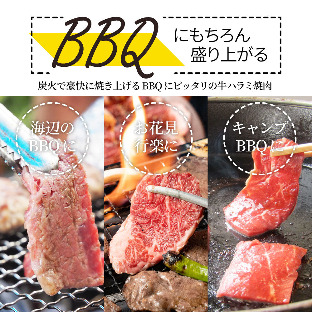 牛ハラミ焼肉（タレ漬け） タレ 赤身 はらみ 秘伝 焼肉 やきにく ハラミ アウトドア お家焼肉 BBQ キャンプ キャンプ飯
