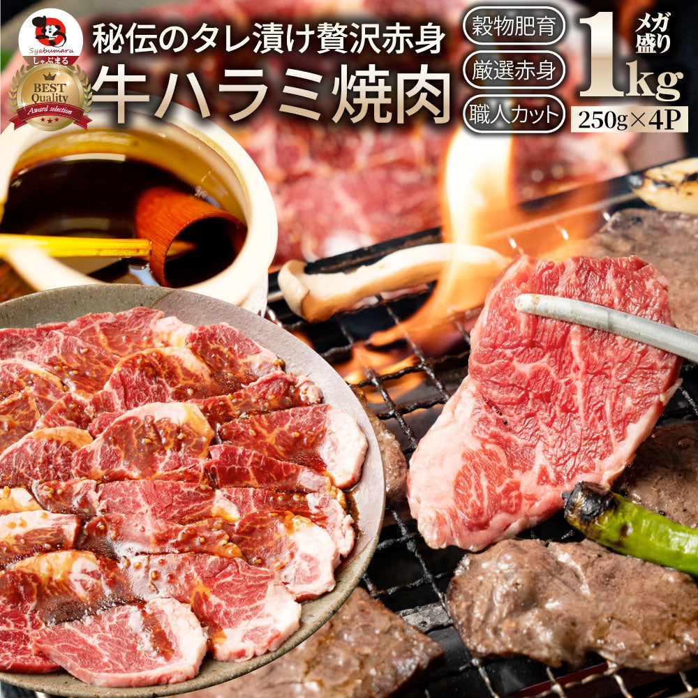 牛ハラミ焼肉（タレ漬け） タレ 赤身 はらみ 秘伝 焼肉 やきにく ハラミ アウトドア お家焼肉 BBQ キャンプ キャンプ飯