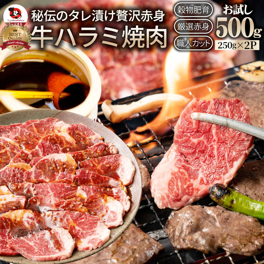 牛ハラミ焼肉（タレ漬け） タレ 赤身 はらみ 秘伝 焼肉 やきにく ハラミ アウトドア お家焼肉 BBQ キャンプ キャンプ飯