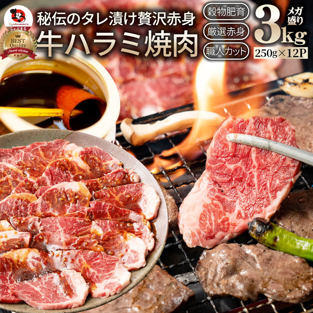 牛ハラミ焼肉（タレ漬け） タレ 赤身 はらみ 秘伝 焼肉 やきにく ハラミ アウトドア お家焼肉 BBQ キャンプ キャンプ飯