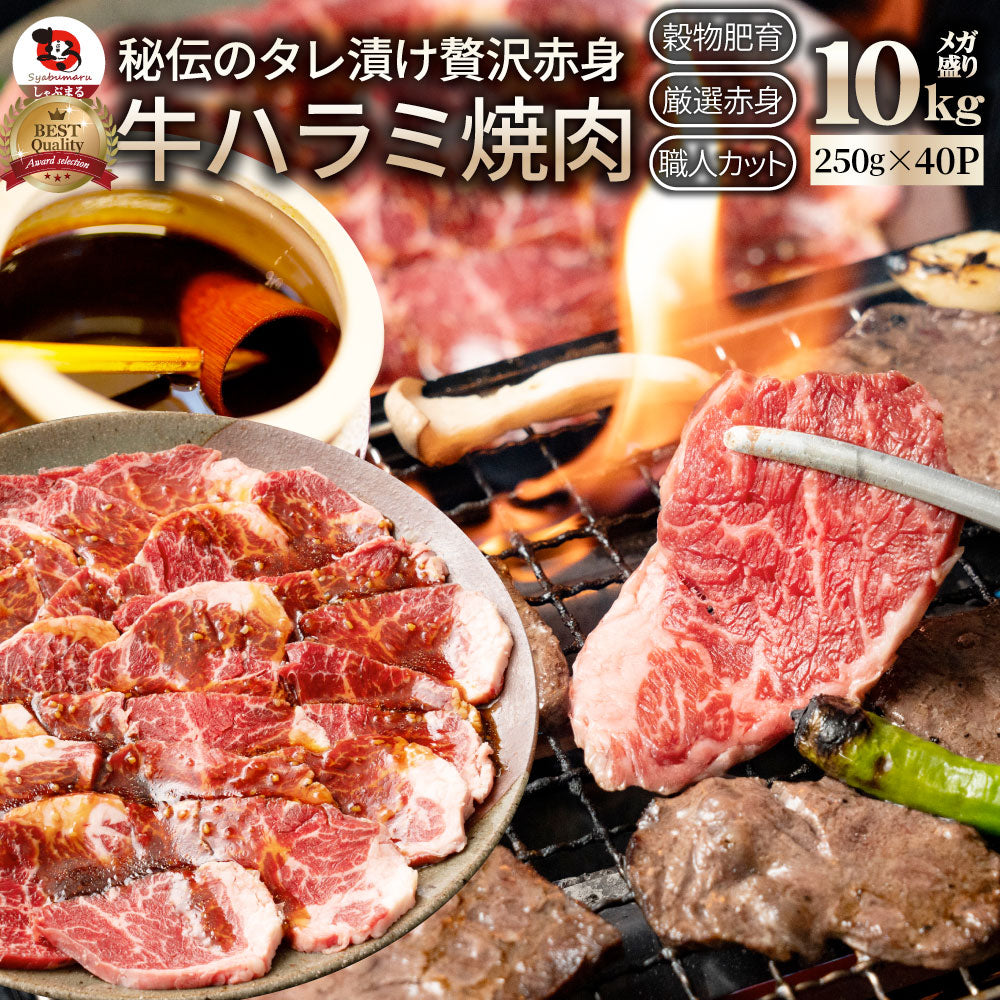 牛ハラミ焼肉（タレ漬け） タレ 赤身 はらみ 秘伝 焼肉 やきにく ハラミ アウトドア お家焼肉 BBQ キャンプ キャンプ飯