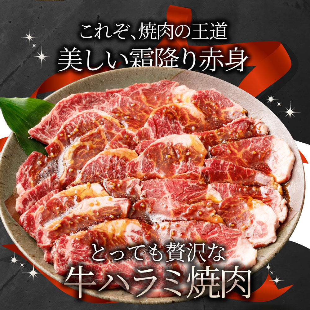 牛ハラミ焼肉（タレ漬け） タレ 赤身 はらみ 秘伝 焼肉 やきにく ハラミ アウトドア お家焼肉 BBQ キャンプ キャンプ飯