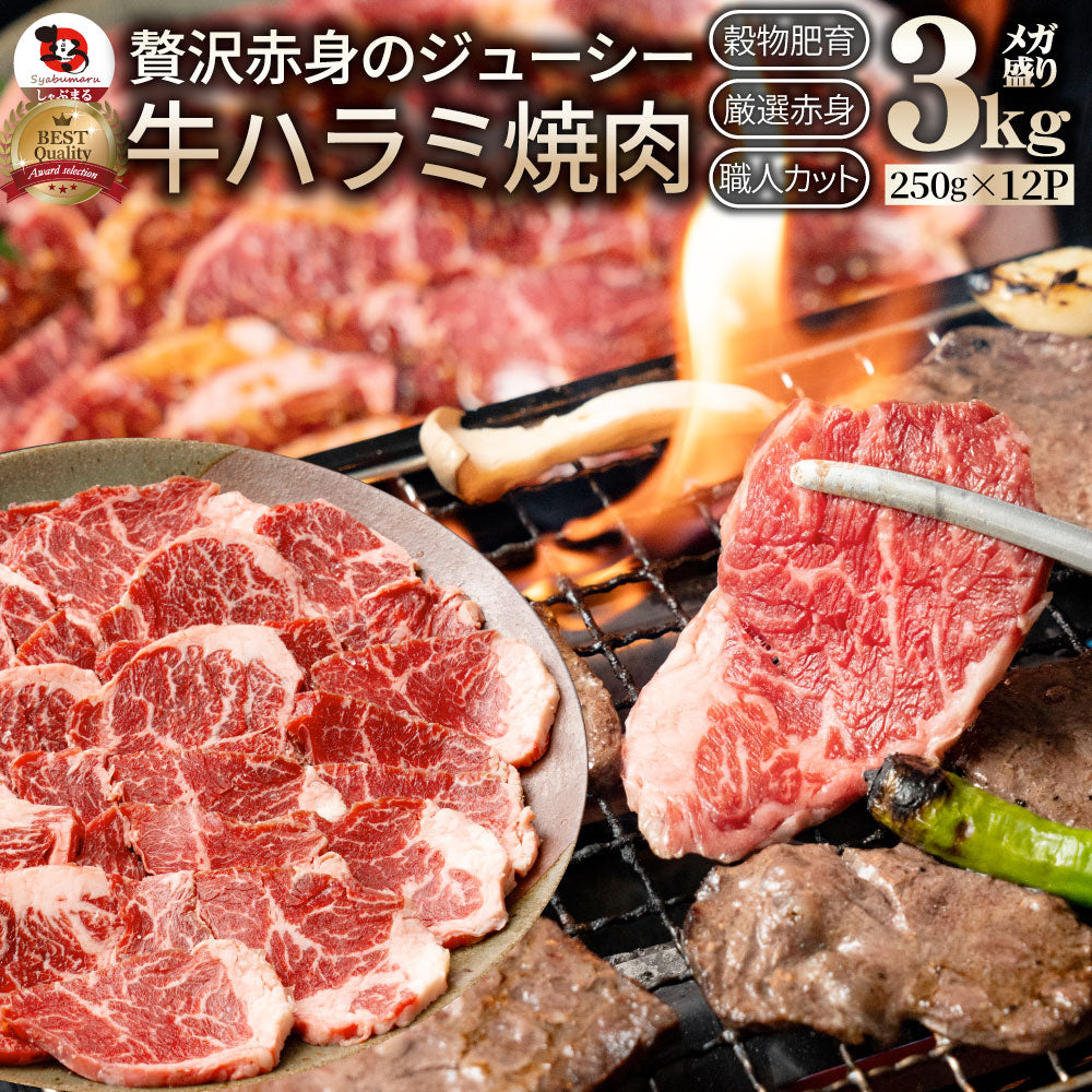 牛ハラミ焼肉 焼肉 赤身 はらみ やきにく 赤身 はらみ ハラミ アウトドア お家焼肉 送料無料 キャンプ キャンプ飯