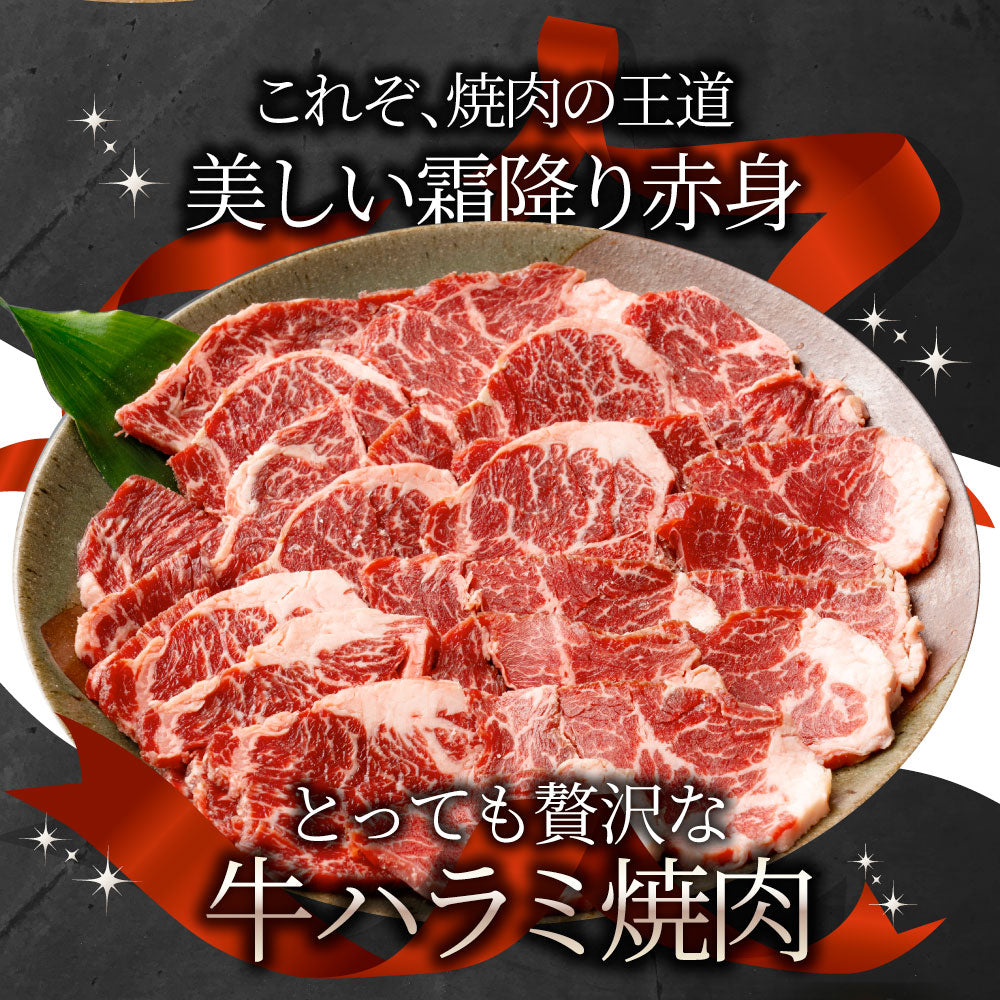 牛ハラミ焼肉 焼肉 赤身 はらみ やきにく 赤身 はらみ ハラミ アウトドア お家焼肉 送料無料 キャンプ キャンプ飯