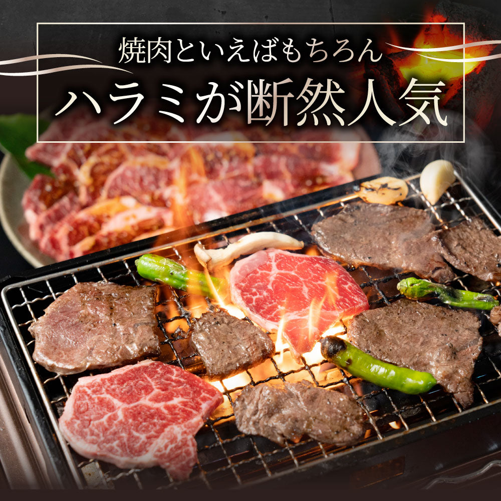 牛ハラミ焼肉 焼肉 赤身 はらみ やきにく 赤身 はらみ ハラミ アウトドア お家焼肉 送料無料 キャンプ キャンプ飯