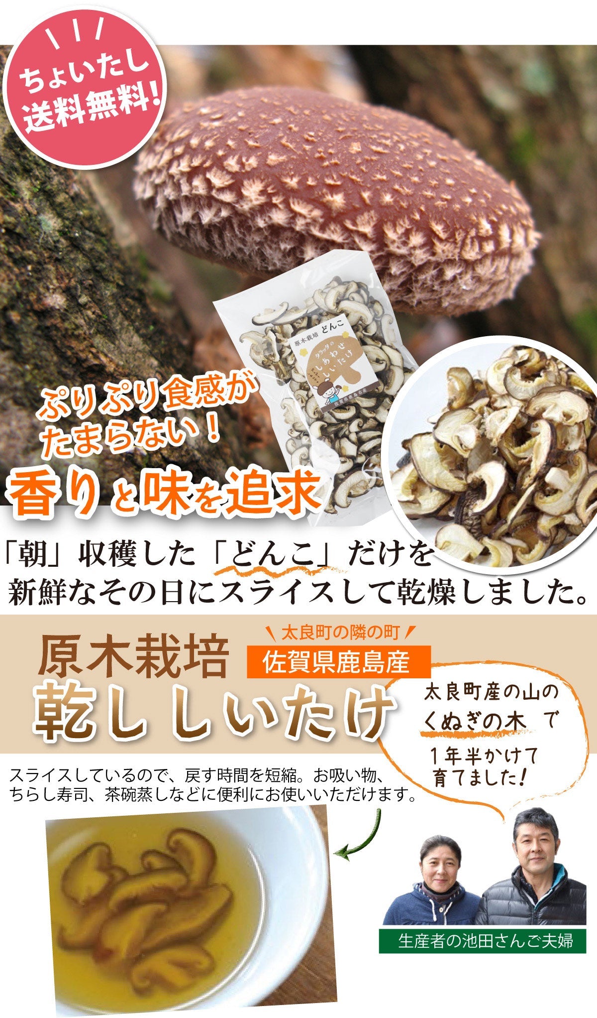 【他の商品にちょい足しで送料無料】乾し「しいたけ」（50ｇ）