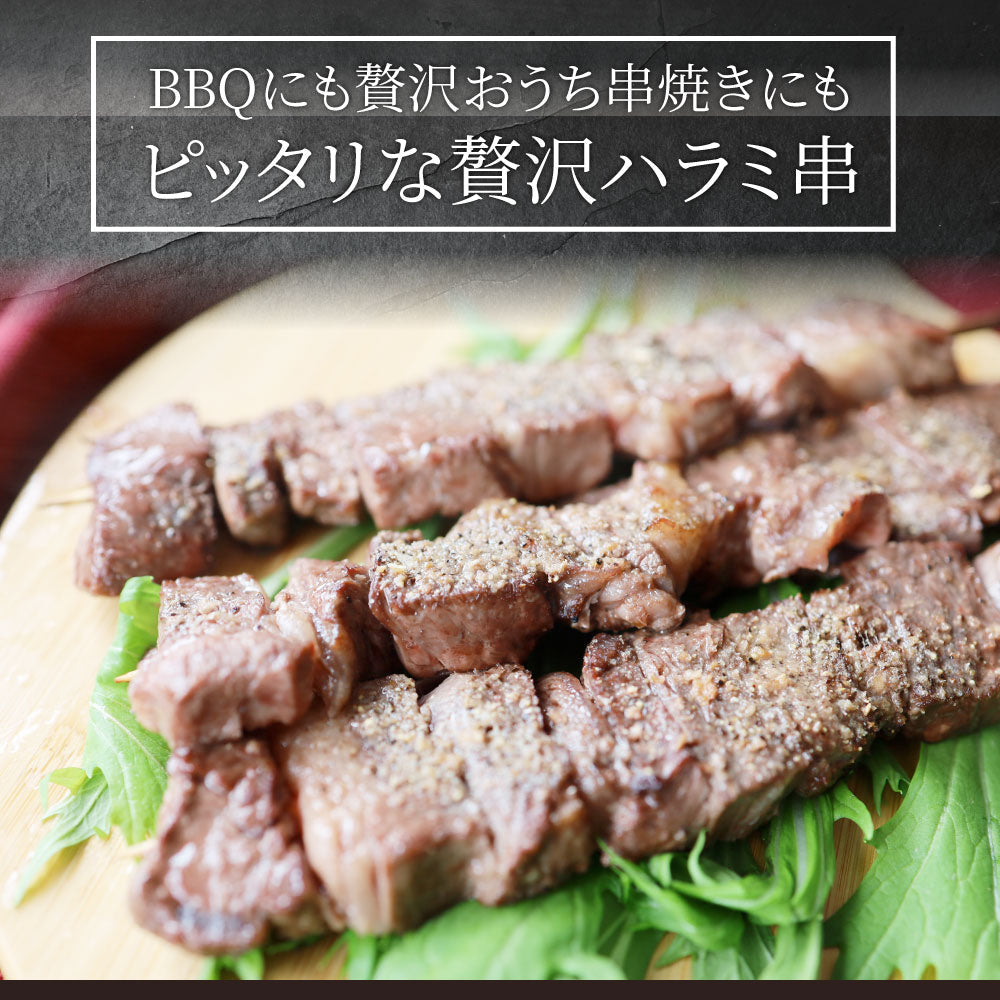 牛ハラミ串 10本セット (合計800g) 牛串 肉 牛 ハラミ 学園祭 屋台 業務用 串焼き 食べ物 食材 食品 パーティー BBQ バーベキュー キャンプ キャンプ飯