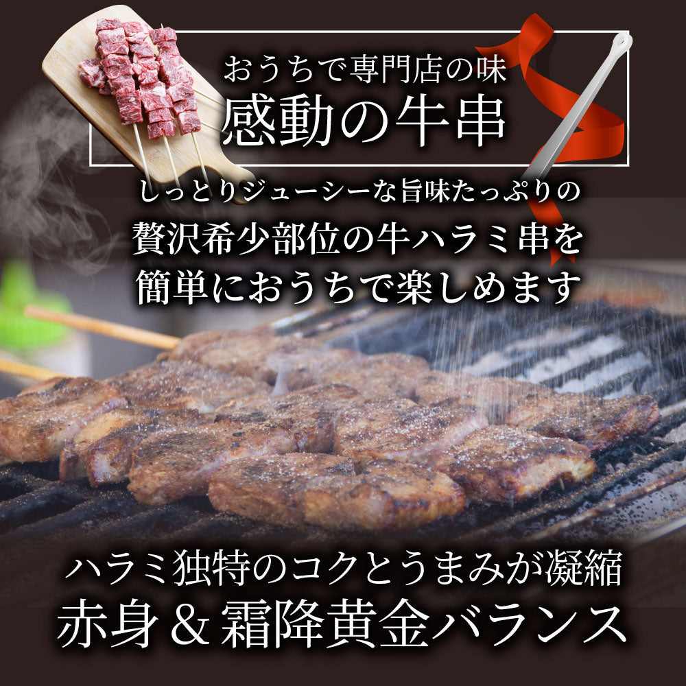 牛ハラミ串 10本セット (合計800g) 牛串 肉 牛 ハラミ 学園祭 屋台 業務用 串焼き 食べ物 食材 食品 パーティー BBQ バーベキュー キャンプ キャンプ飯
