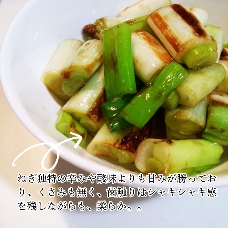 極寒越冬白ねぎ1kg【寒波到来で糖度UP】送料込み 鳥取県八頭町の田中農場