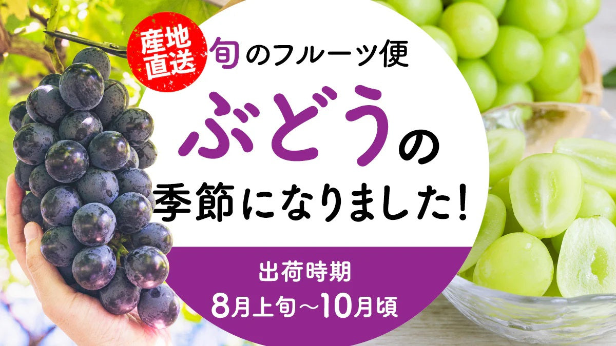 ぶどうの季節になりました！