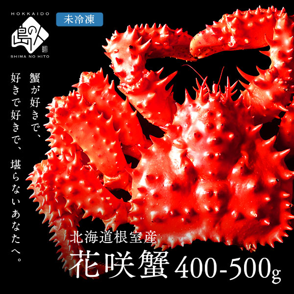 【水揚げ次第お届け】【獲れたて未冷凍】根室産 チルド花咲ガニ(姿) 400-500g前後【2025年新物】