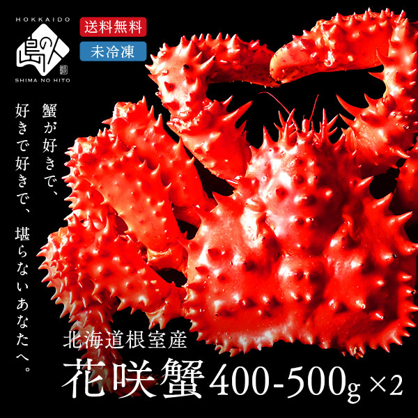 【水揚げ次第お届け】【獲れたて未冷凍】根室産 チルド花咲ガニ(姿) 400-500g前後 【2尾セット】【送料無料】【2025年新物】