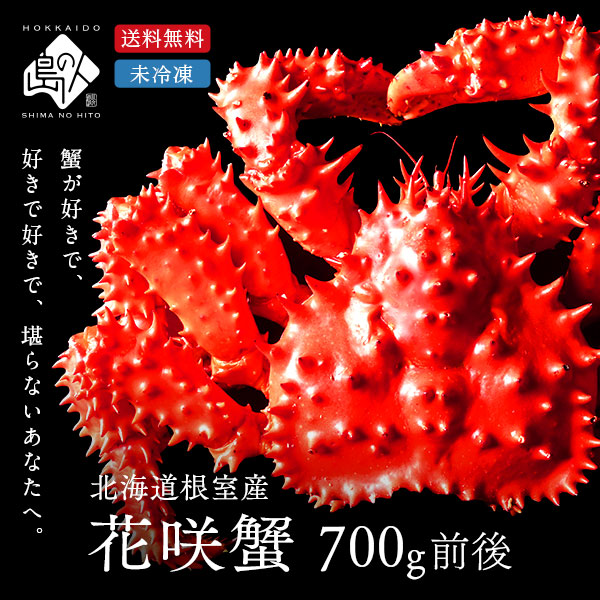 【水揚げ次第お届け】【獲れたて未冷凍】根室産 チルド花咲ガニ(姿) 700g前後 【送料無料】【2025年新物】