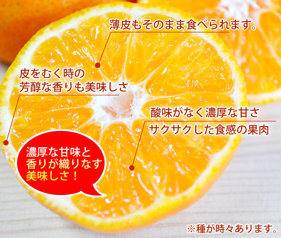 【スペイン生まれの柑橘】香りが良く！サクサク♪★クレメンティンClementina★