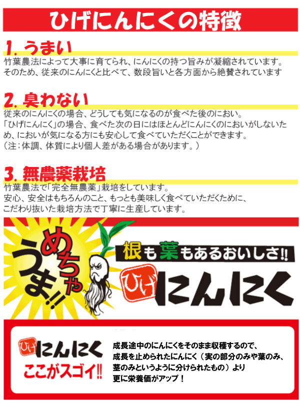 【送料無料】大間農場 うまくて臭わない ひげにんにく 20本 [クール便]