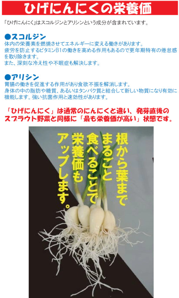 【送料無料】大間農場 うまくて臭わない ひげにんにく 20本 [クール便]