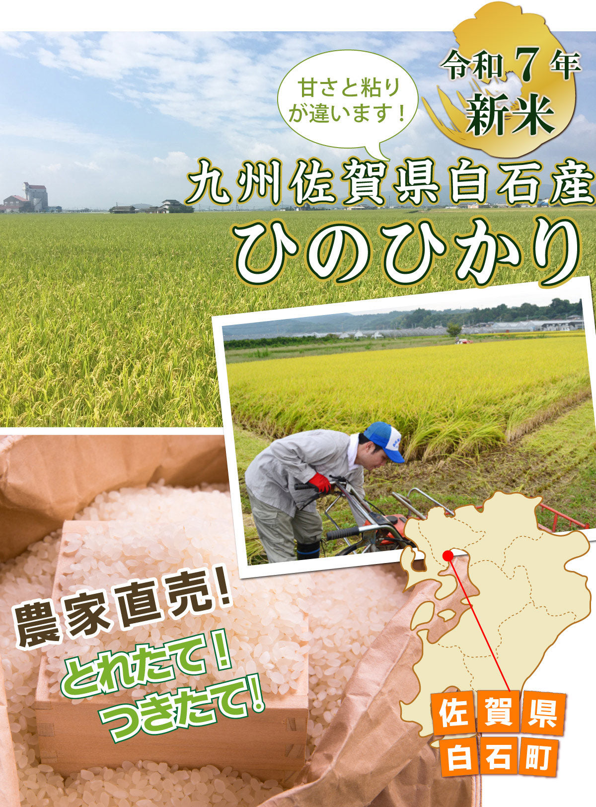 新米の季節です！＜10月下旬の収穫次第発送！＞【令和7年産　新米！】佐賀県白石産『ひのひかり 』