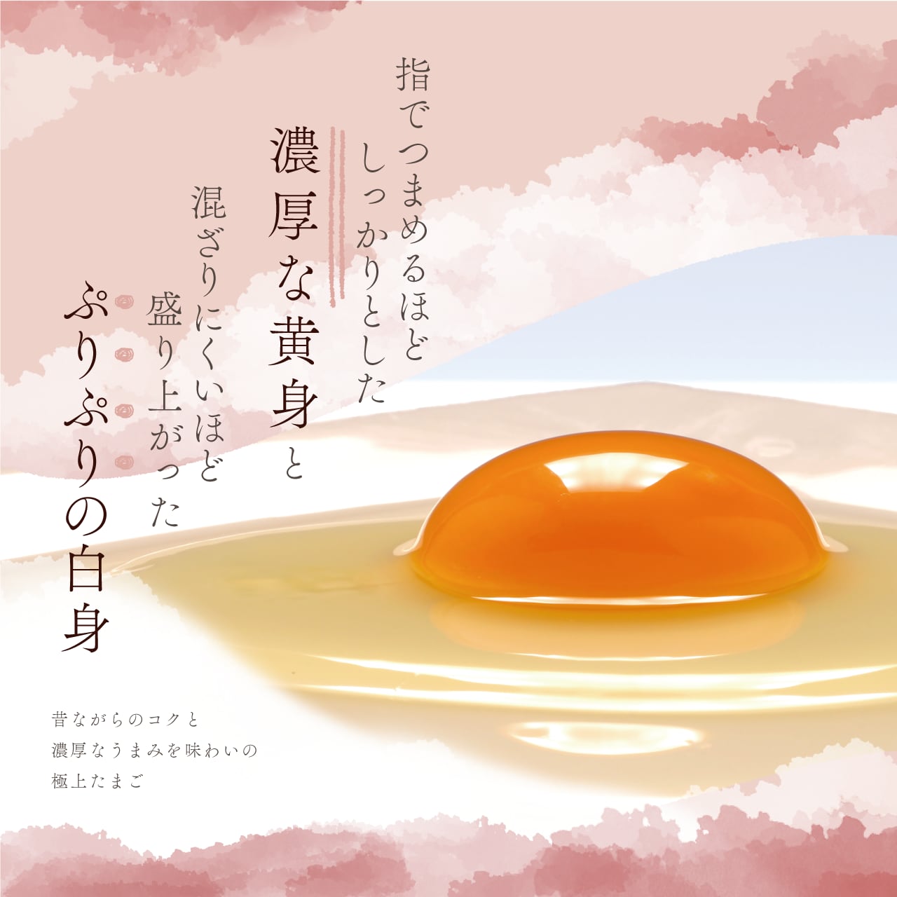 若鶏が生んだ初卵と親鶏の 贅沢グルメ缶詰HALL・IN・ONE・EGG【住山ごぼうの黄キーマカレー】+ 丹波路たまご「せせらぎ」 ギフトセット