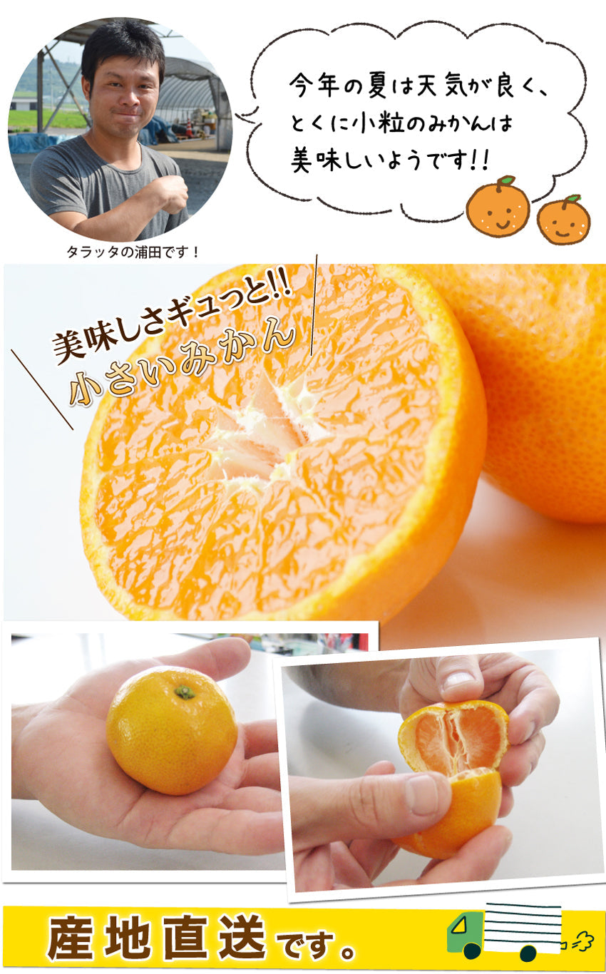 旨さギュっと！濃厚小粒みかん「ひとしずく」