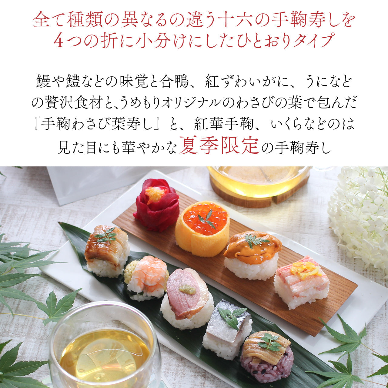 【夏の贈り物】夏のひとおり手鞠わさび葉寿し