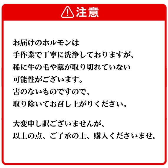 近江牛ホルモン　300ｇ （真空パック）