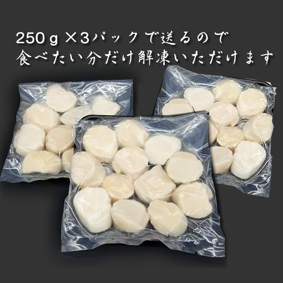 北海道産お刺身用ほたて貝柱750g（訳あり）特Aランクをご用意！送料