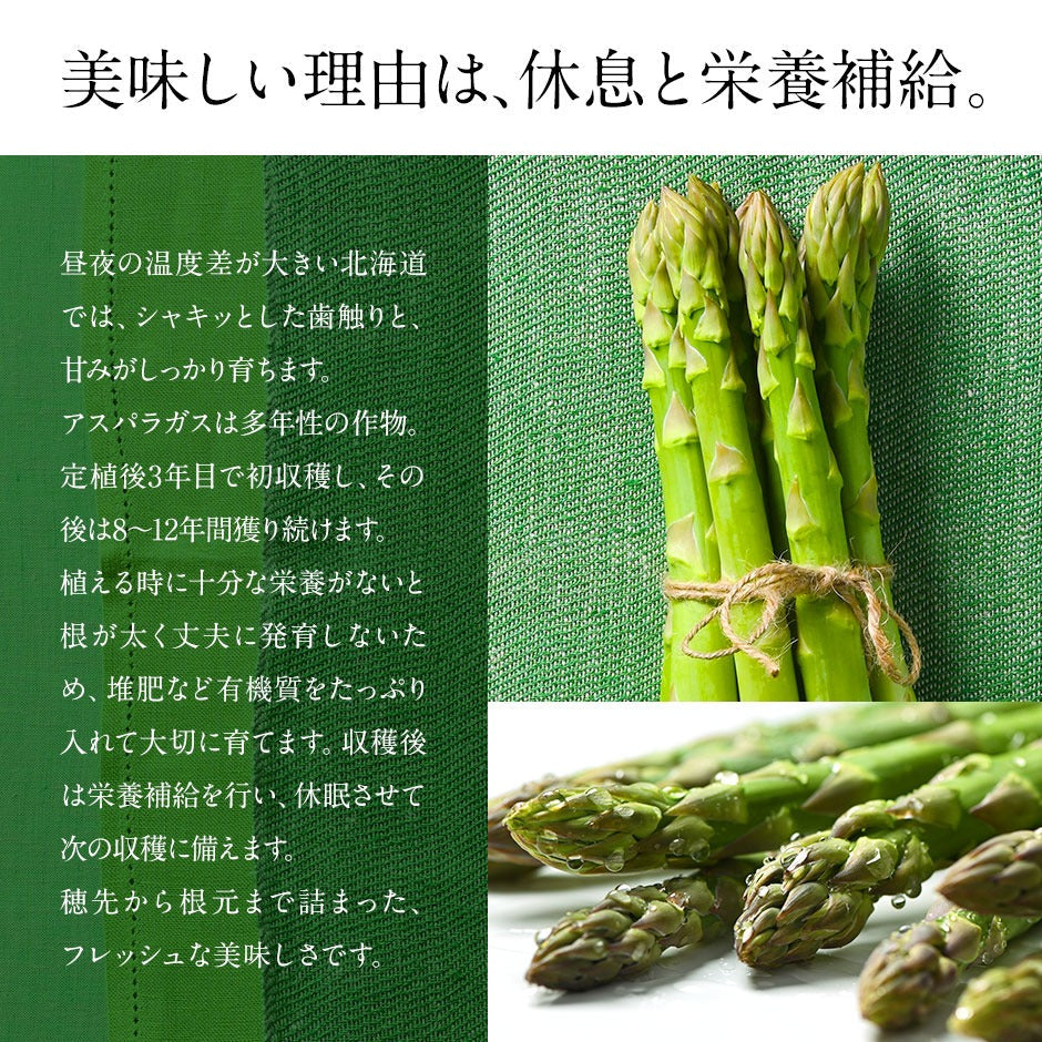 北海道 富良野産 朝もぎハウスグリーンアスパラ L-3L混サイズ【訳あり】【送料無料】