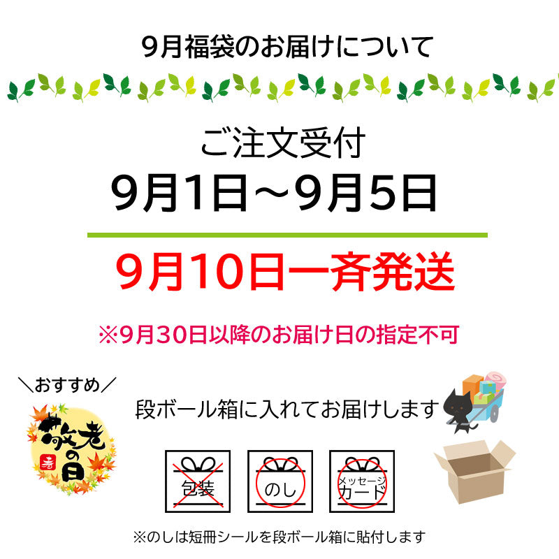 1の日福袋 9月は 鮭三昧 岩手県産の鮭を使った贅沢な鮭三昧 敬老の日 鮭 国産【冷凍】