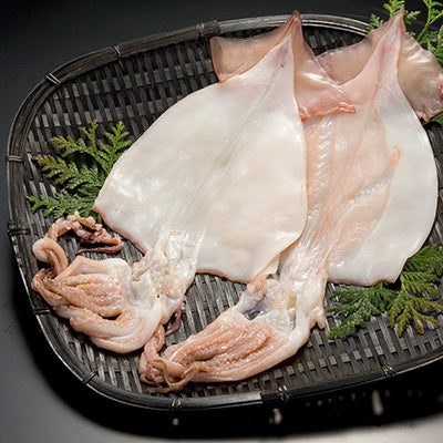 「イカ」の旨みを熟成させる一夜干し加工　イカの一夜干し×10枚【送料無料】