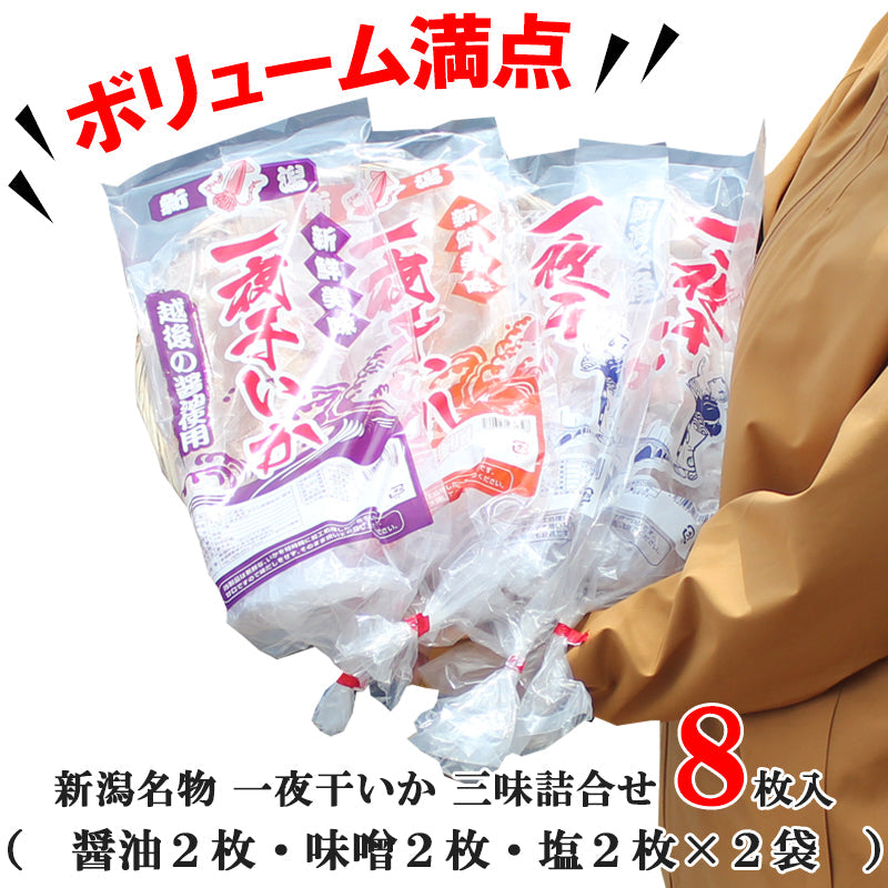 【送料無料】新潟名物 いか一夜干し ３味詰合せ 計８枚入 （塩いか２枚入×2袋 味噌漬2枚入×１袋 醤油漬2枚入×1袋） ギフト 2025 海鮮問屋 見田元七商店