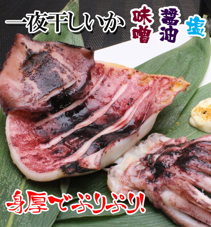 【送料無料】新潟名物 いか一夜干し 食べ比べセット 計6枚入 （塩いか2枚入×1袋 味噌漬2枚入×1袋 醤油漬2枚入×1袋） ギフト 2025 海鮮問屋 見田元七商店