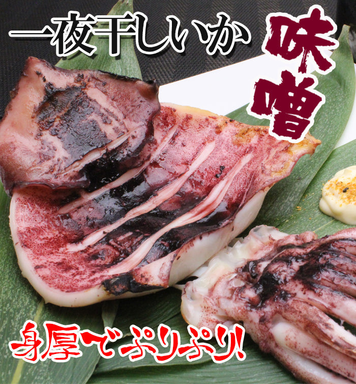 【送料無料】新潟名物 いか一夜干し 味噌味セット 2枚入×４袋 ギフト 2025【漬魚・魚加工品】 海鮮問屋 見田元七商店