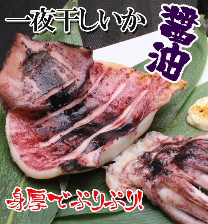 【送料無料】新潟名物 いか一夜干し 醤油味セット 2枚入×４袋 ギフト 2025 海鮮問屋 見田元七商店