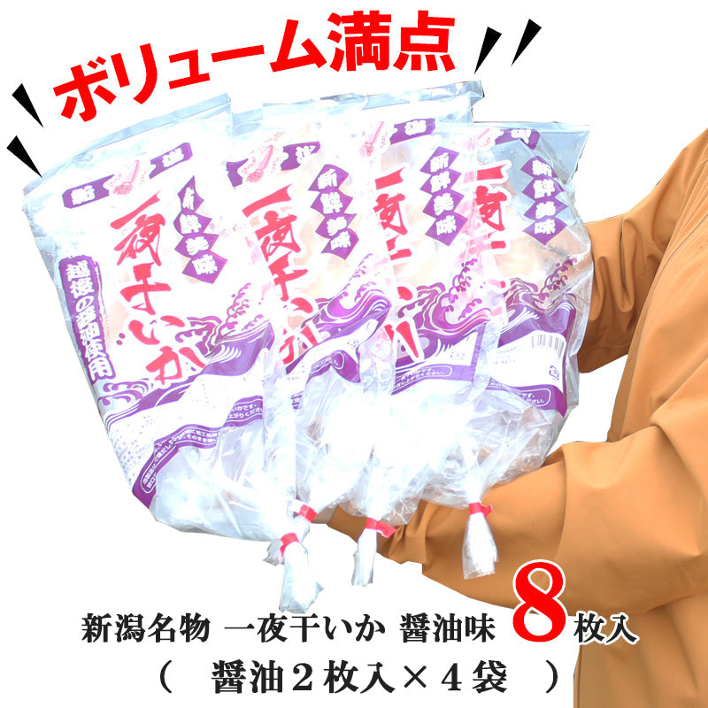 【送料無料】新潟名物 いか一夜干し 醤油味セット 2枚入×４袋 ギフト 2025 海鮮問屋 見田元七商店