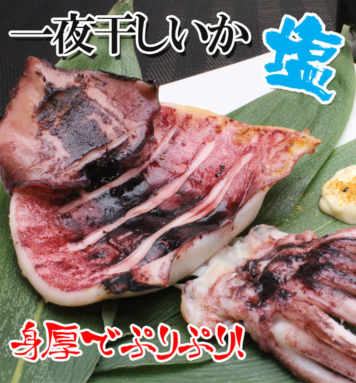 【送料無料】新潟名物 いか一夜干し 塩味セット 2枚入×４袋 ギフト 2025 海鮮問屋 見田元七商店