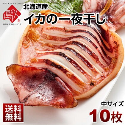 「イカ」の旨みを熟成させる一夜干し加工　イカの一夜干し×10枚【送料無料】