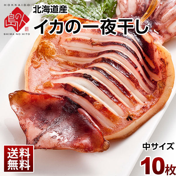 「イカ」の旨みを熟成させる一夜干し加工　イカの一夜干し×10枚【送料無料】