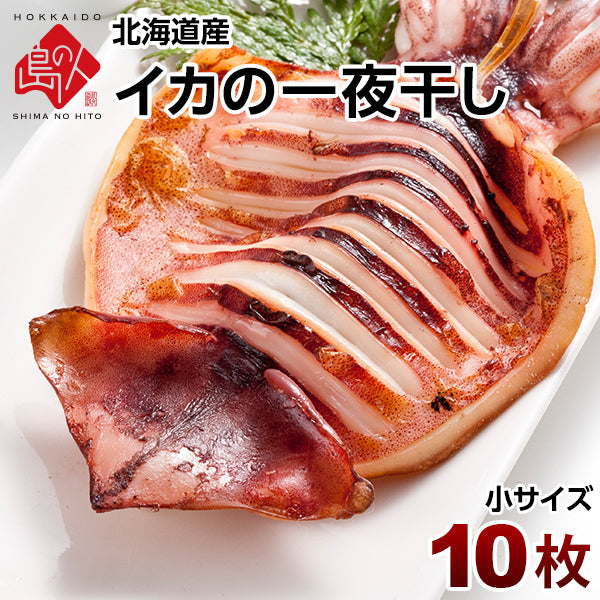 肉厚ジューシー♪イカの一夜干し×10枚（小サイズ）【送料無料】 「イカ」の旨みを熟成させる一夜干し加工 北海道 お取り寄せグルメ 干物 食品 食べ物 海鮮 海産物 イカ 青空レストランで紹介
