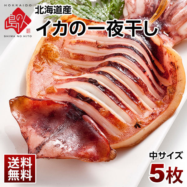 「イカ」の旨みを熟成させる一夜干し加工　イカの一夜干し×5枚【送料無料】
