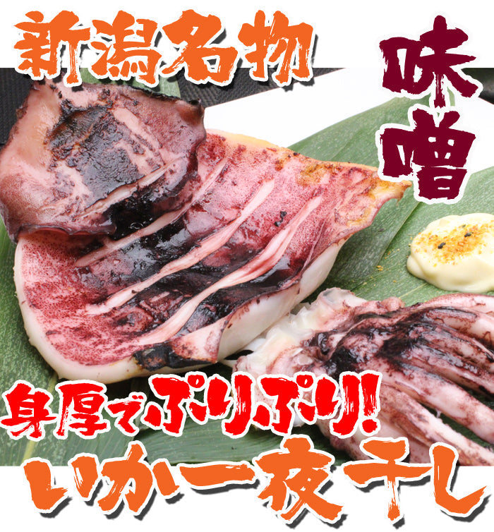 新潟名物 いか一夜干し 味噌２枚入 イカ 烏賊 おつまみ 肴 海鮮 ギフト 海鮮問屋 見田元七商店