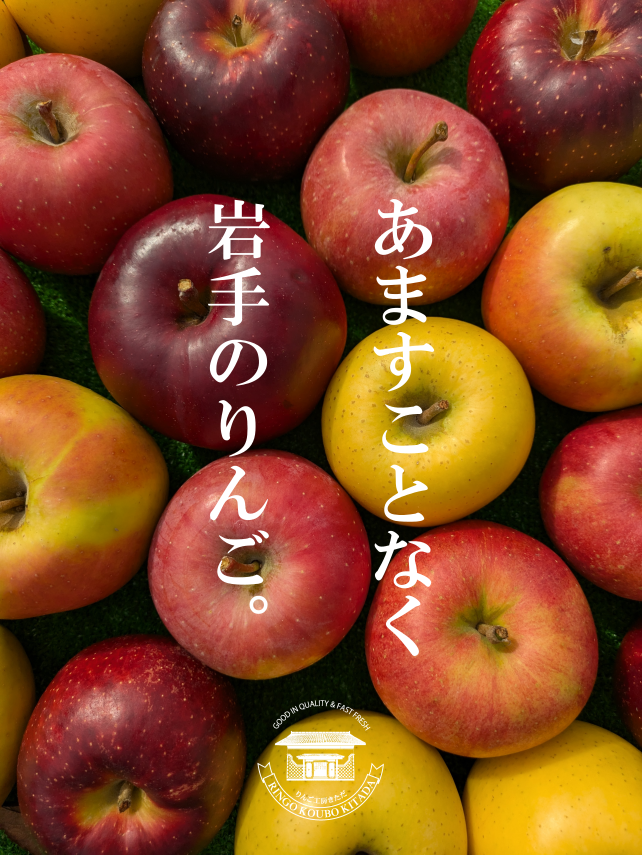 【2025年9月中旬発送開始予定】【通常便】【クール便発送】【岩手オリジナル品種】贈答・秀品　紅いわて3キロ　※沖縄地域・離島エリア以外は送料無料