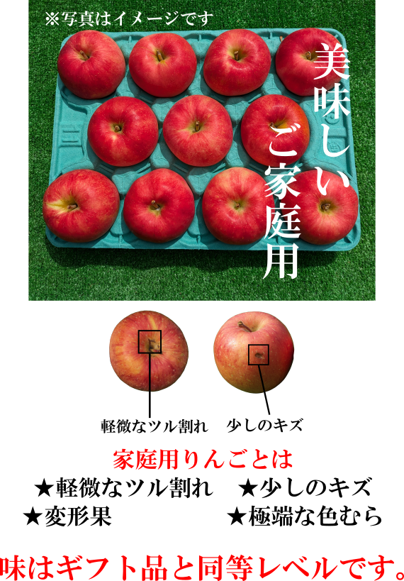 【通常便】ご家庭用　北斗5キロ(20玉～11玉)　※沖縄地域・離島エリア以外は送料無料
