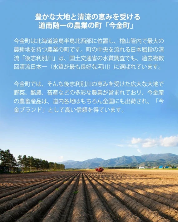 【送料無料】ゆめぴりか 5㎏ 北海道 今金産 お取り寄せグルメ 米