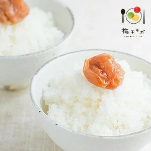 紀州産南高梅つぶれ梅うす塩味（塩分8％）400g×2パック【送料無料】/梅干し