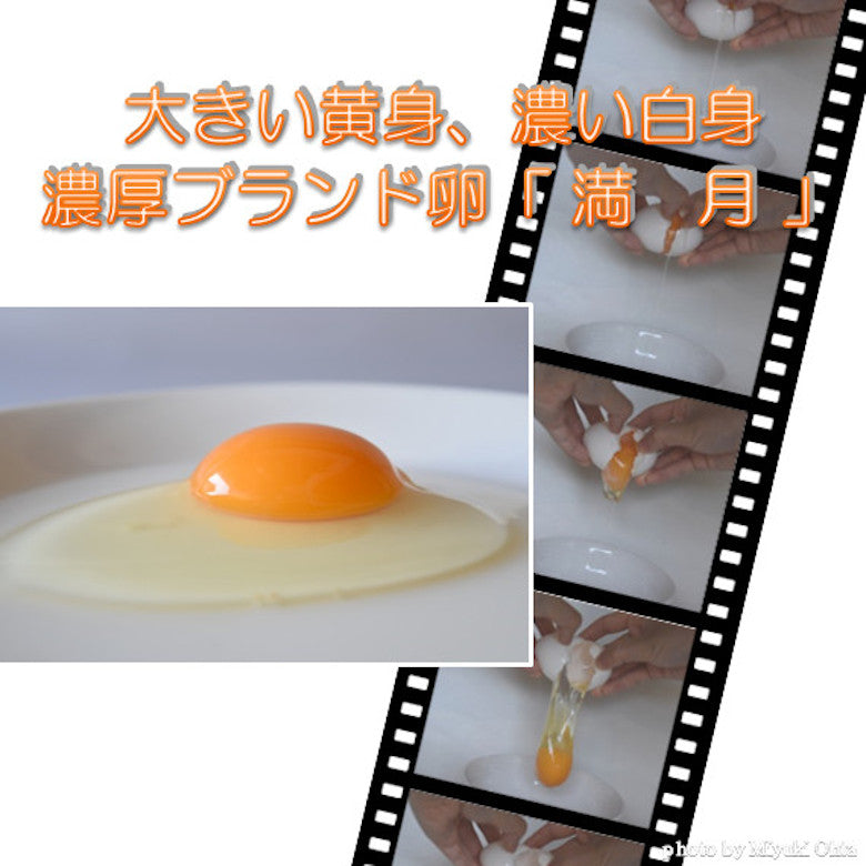 たまご　(ブランド卵「満月」） 鶏卵120個
