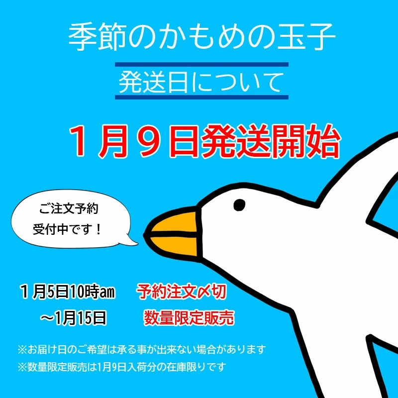 【予約受付開始】 冬 かもめの玉子 みかん 8個入【常温】