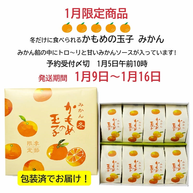 【予約受付開始】 冬 かもめの玉子 みかん 8個入【常温】