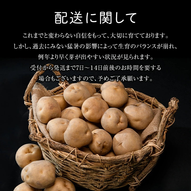 【予約受付中 送料無料】北海道 越冬いも 今金男爵 Mサイズ お取り寄せグルメ じゃがいも【2月中旬以降順次発送】