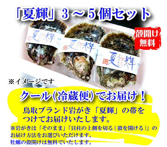 鳥取賀露港　天然岩がき「夏輝」　3~5個セット